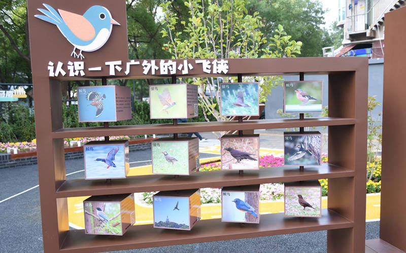 西城区广外街道：“断头路”变身口袋公园<strong></p>
<p>区块链技术开发</strong>，装满民生“微幸福”