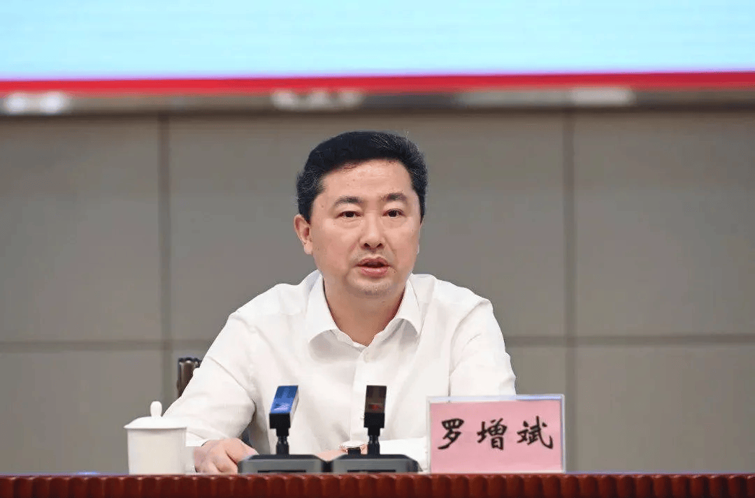 在海南省委常委、海口市委书记等职上<strong></p>
<p>区块链技术开发</strong>，罗增斌非法收受他人财物，数额特别巨大