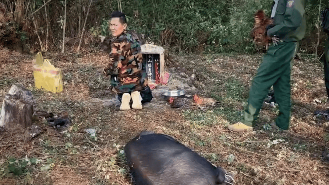 公安机关侦破缅北果敢徐老发犯罪集团专案<strong></p>
<p>瑞波币</strong>，详情披露！