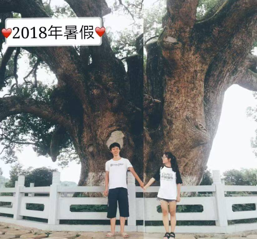 岳阳情侣连续9年在家乡千年古樟树下合影<strong></p>
<p>瑞波币</strong>，今年国庆终修正果：希望爱情像古树一样长久