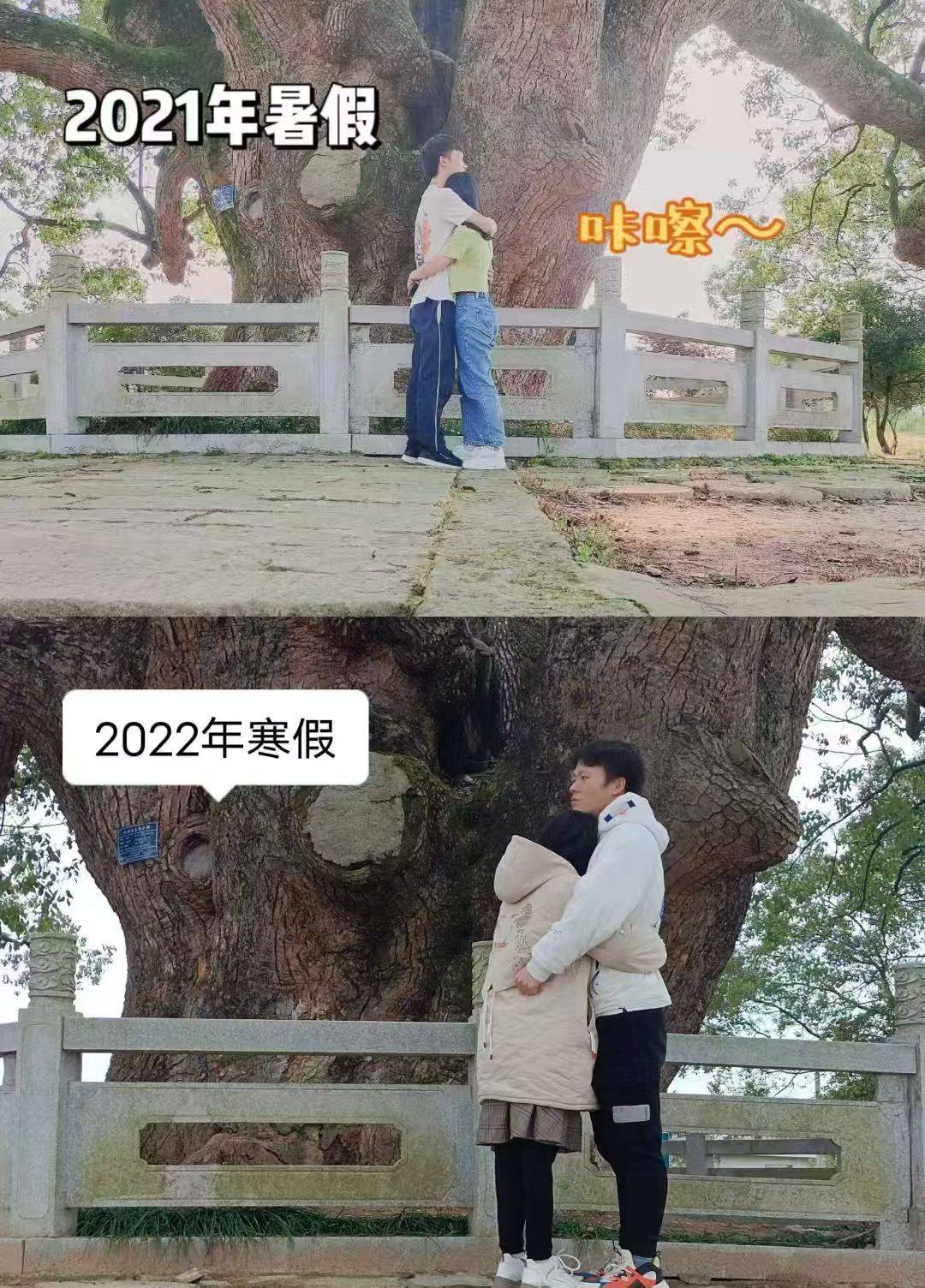 岳阳情侣连续9年在家乡千年古樟树下合影<strong></p>
<p>瑞波币</strong>，今年国庆终修正果：希望爱情像古树一样长久