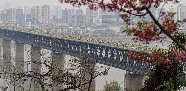 今天是她68岁生日<strong></p>
<p>瑞波币</strong>，武汉人：不准退休！