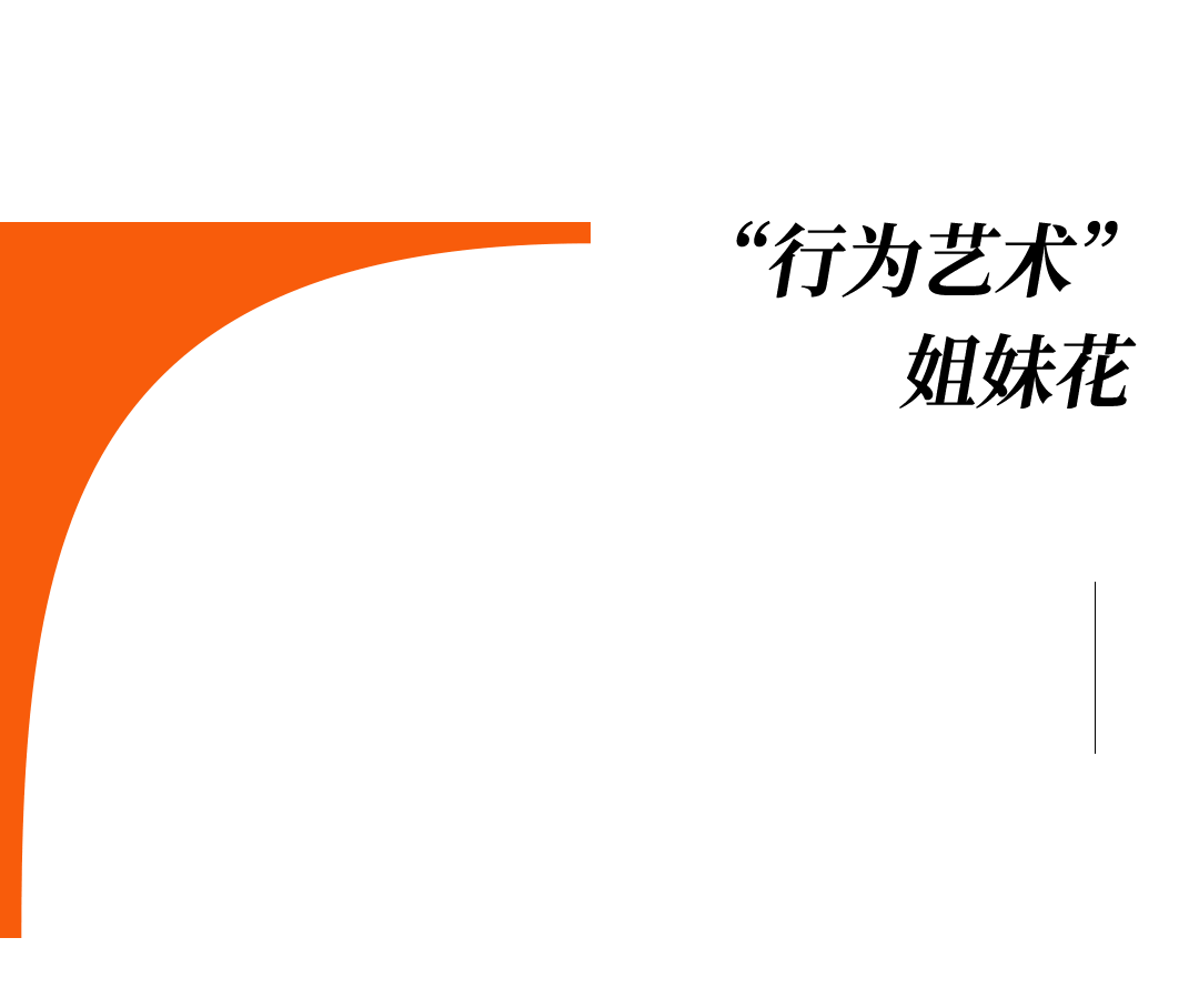 爱马仕当“头饰”<strong></p>
<p>瑞波币</strong>，香奈儿挂满身，这对“神秘姐妹”是谁？