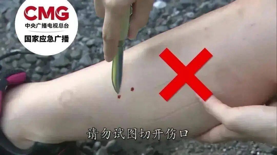 女子半夜上厕所<strong></p>
<p>瑞波币今日行情价格</strong>,马桶里突然窜出一条蛇!