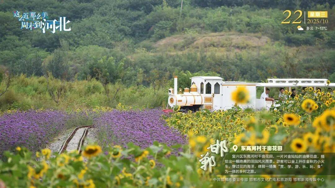 “人工智能+”行动<strong></p>
<p>瑞波币行情</strong>！河北最新发布
