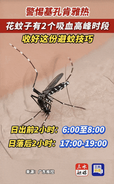 涉学校、公园、城中村<strong></p>
<p>瑞波币行情</strong>！深圳官方最新公布“黑窝点”