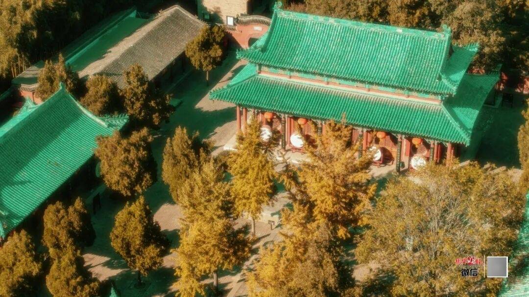 银杏金黄<strong></p>
<p>瑞波币今日价格</strong>！铺满焦作的秋天！