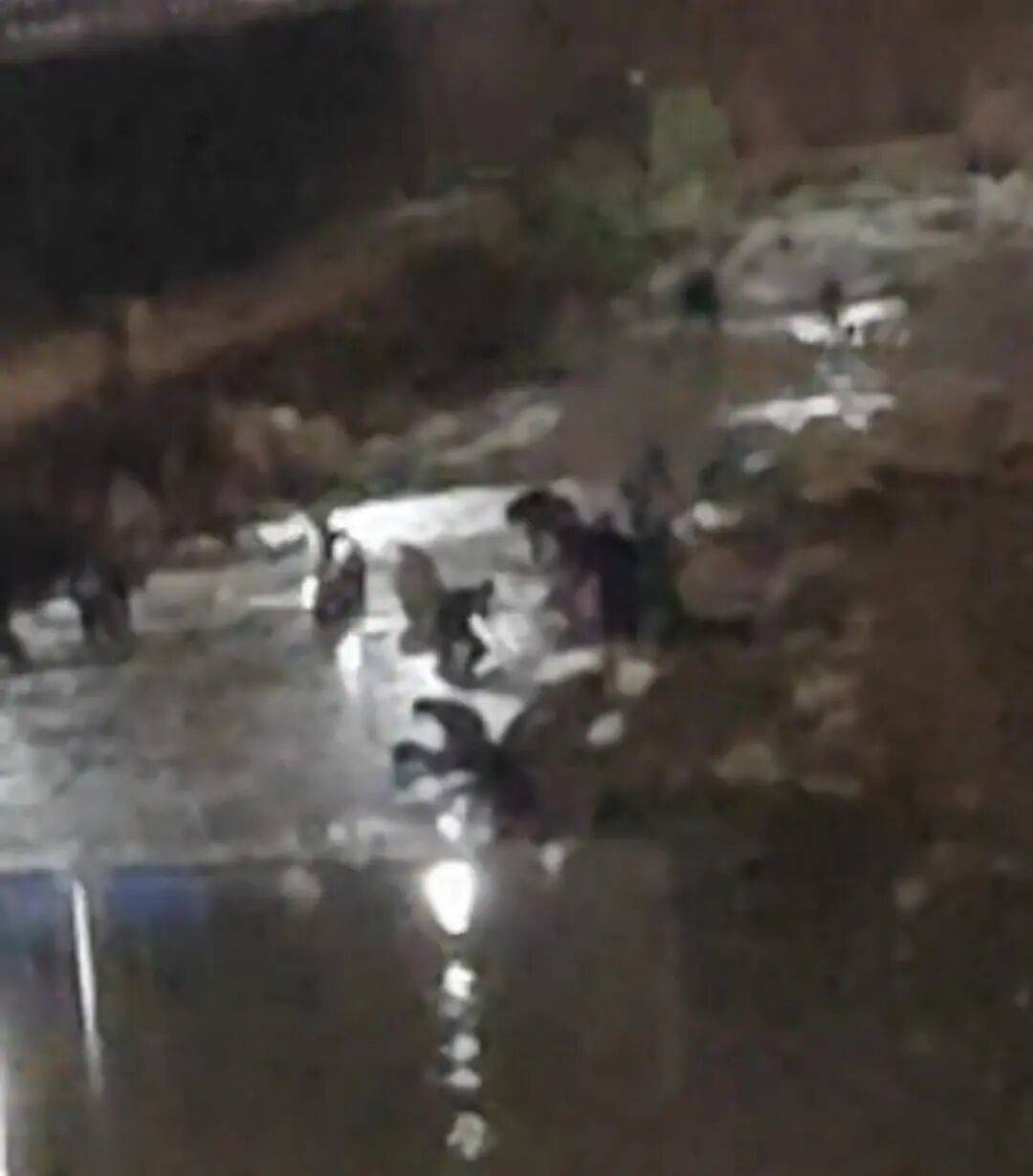 “一盆出5克多”<strong></p>
<p>瑞波币最近行情</strong>，多人凌晨下河淘金！当地警方回应