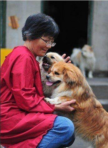 合肥卖房救助流浪狗的魏阿姨离世<strong></p>
<p>屎币</strong>,病中仍然惦记着基地的600只流浪狗,工人:不敢相信世上还有这样执着的人