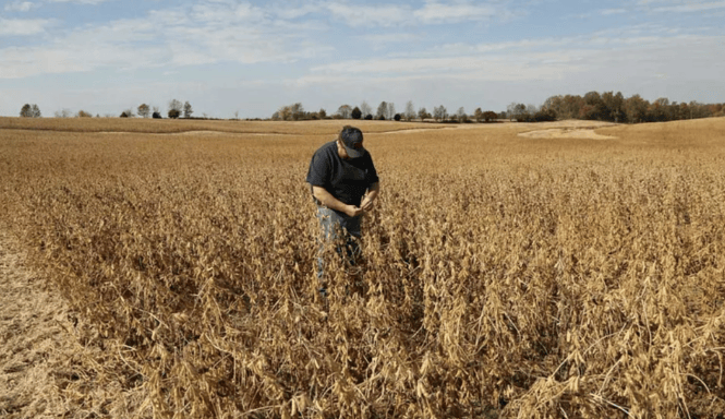 谈妥了又突然变卦!中国复购美国大豆换关税暂停<strong></p>
<p>泰达币</strong>,美贸易代表直接通告全球:继续查中国