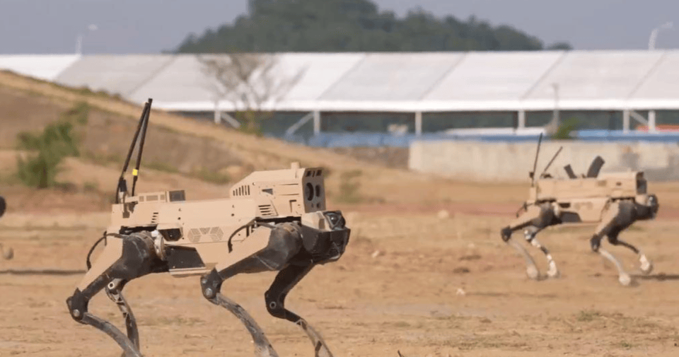 解放军“机器狼”投入台海<strong></p>
<p>泰达币官网</strong>,集群抢滩动作丝滑