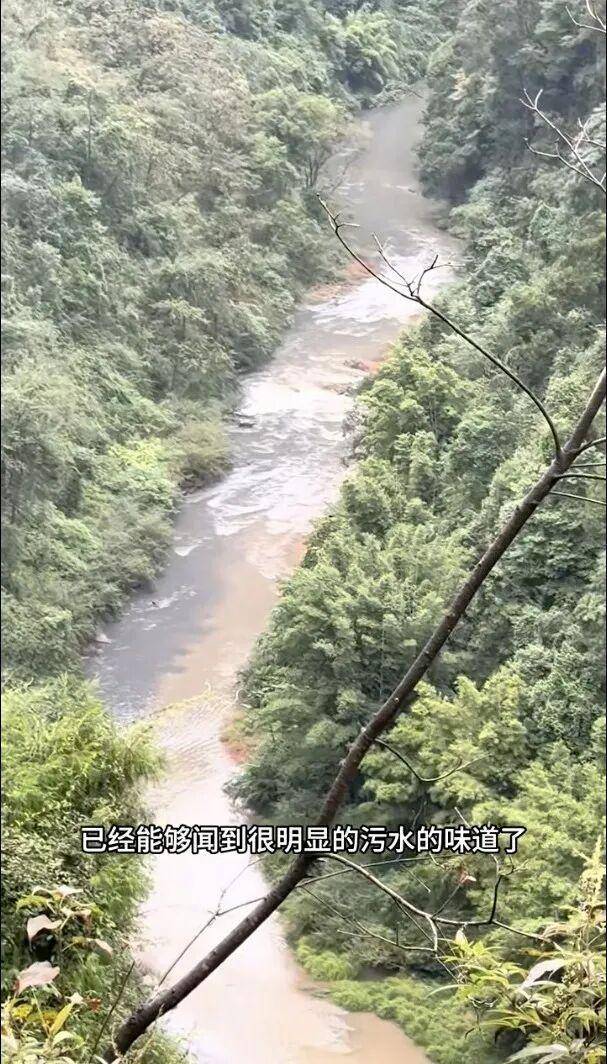 重庆通报：坚决查处<strong></p>
<p>aicoin</strong>，绝不姑息