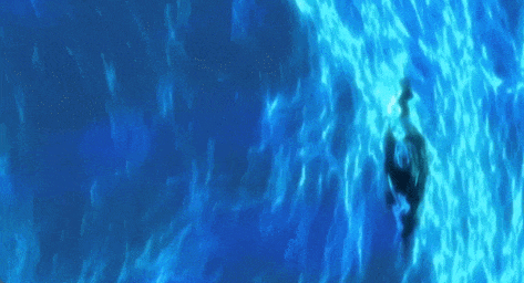 不是慢镜头!福建舰电磁弹射速度那么快<strong></p>
<p>avax</strong>,是怎么瞬间刹车的?