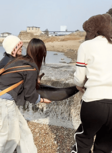 女大学生在大连海边拍摄素材<strong></p>
<p>币安binance官网</strong>，却意外发现已死亡的它