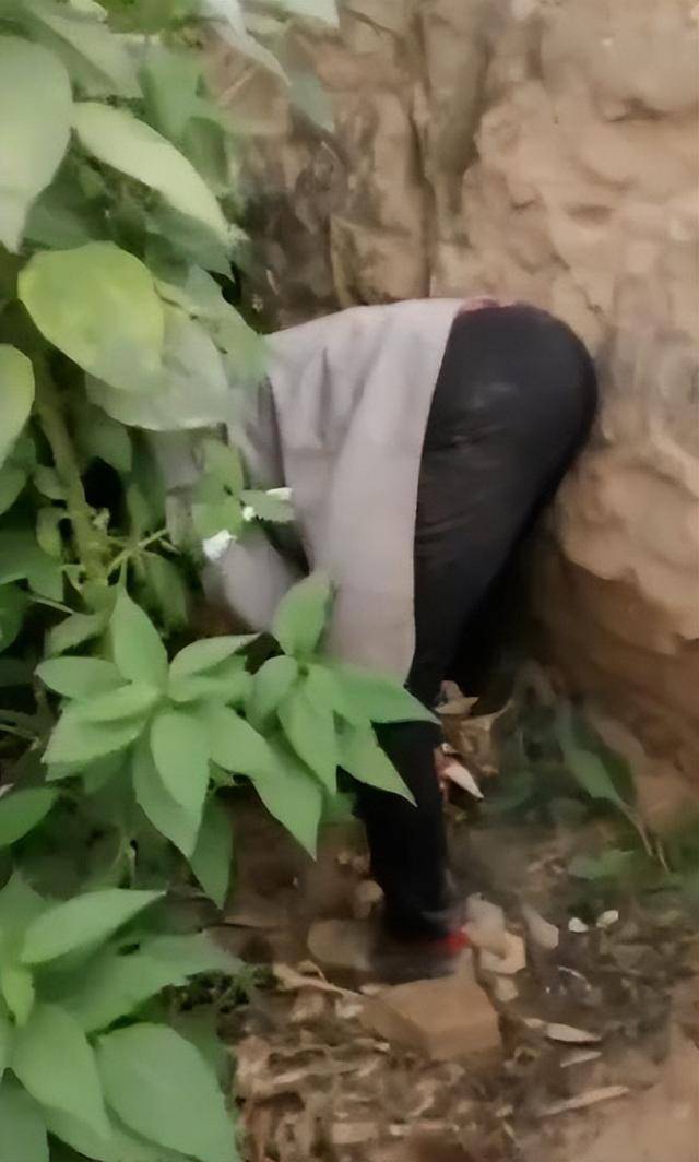 女子疑因拍亲姑姑偷玉米遭姑父棍杀<strong></p>
<p>binance官网</strong>,邻居欲报警也遇害