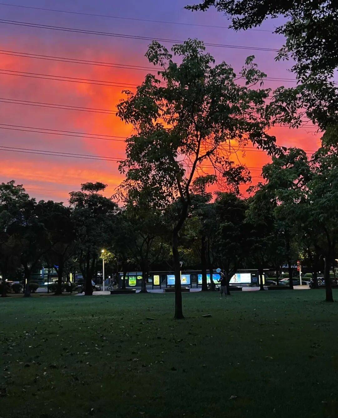 第一批丁克老后<strong></p>
<p>binance平台</strong>,“伴侣能陪一程,但最后都要靠自己”