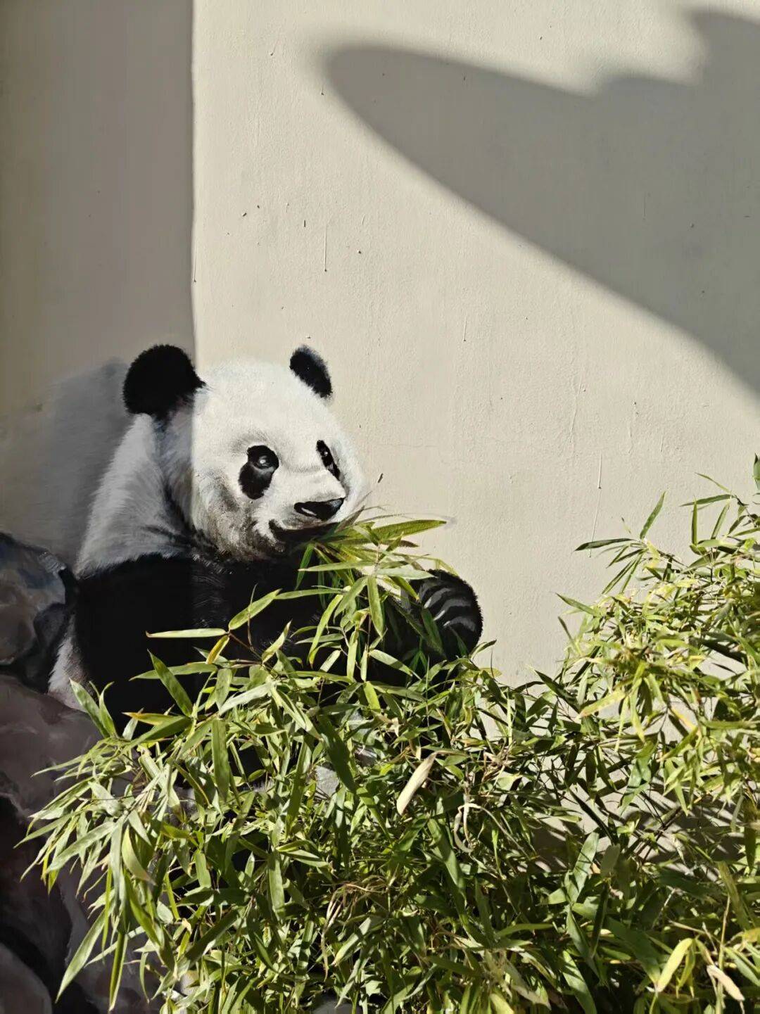 “颜值”出圈 天津和平区独山路这面彩绘墙“亮”<strong></p>
<p>Binance下载</strong>了