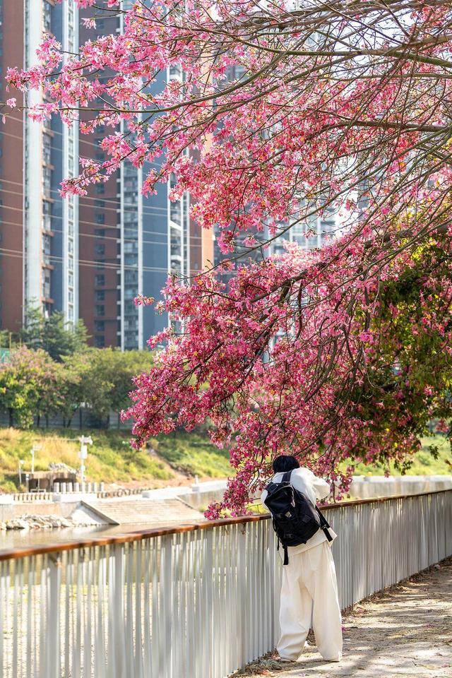 “广东人快被风干啦”！又有冷空气造访<strong></p>
<p>币安binance</strong>，“只降温不降雨”模式持续 | 温度记