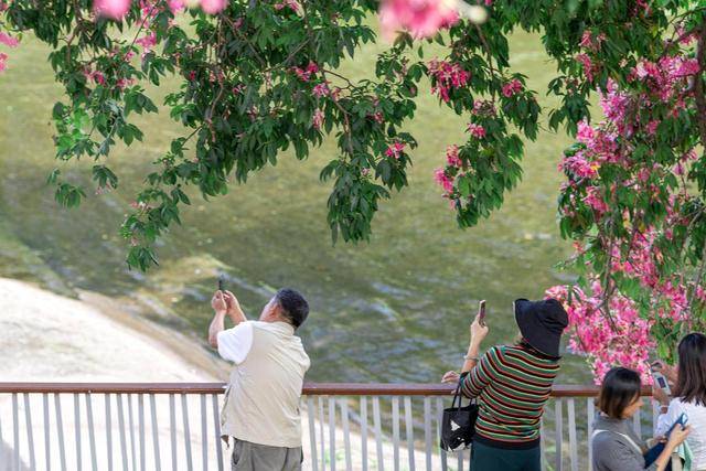 “广东人快被风干啦”！又有冷空气造访<strong></p>
<p>币安binance</strong>，“只降温不降雨”模式持续 | 温度记