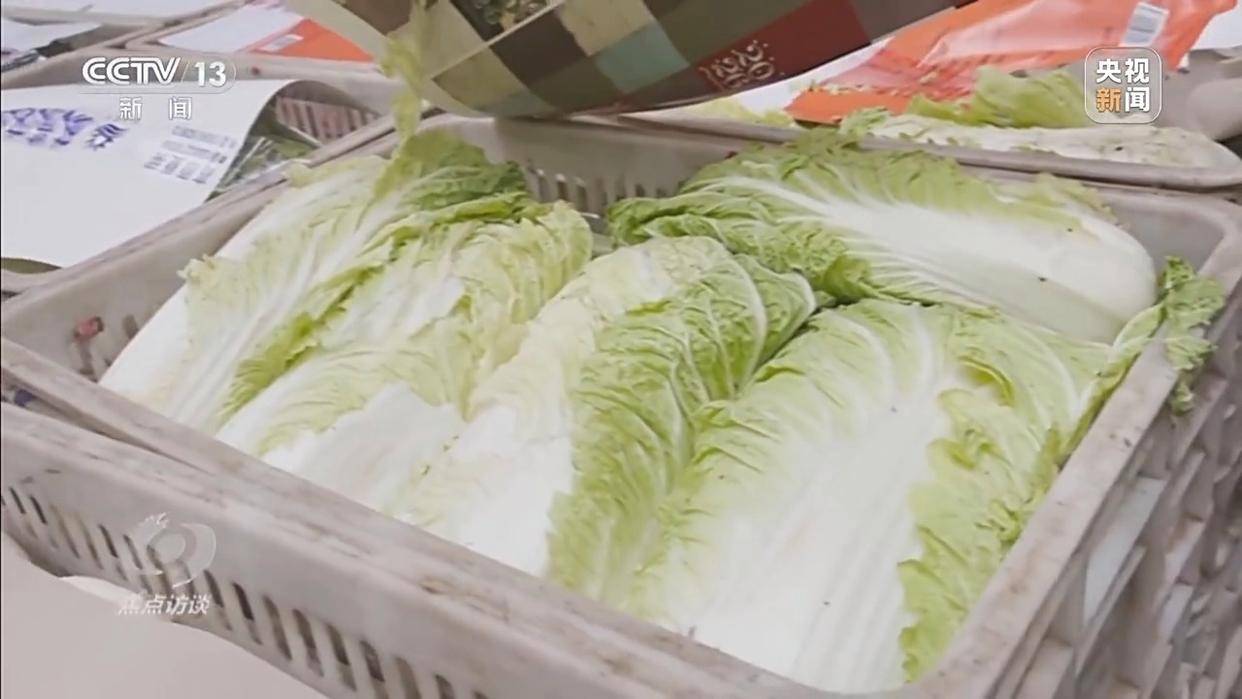 单棵售价超百元<strong></p>
<p>binance交易所</strong>，起底“套牌白菜”背后的销售套路