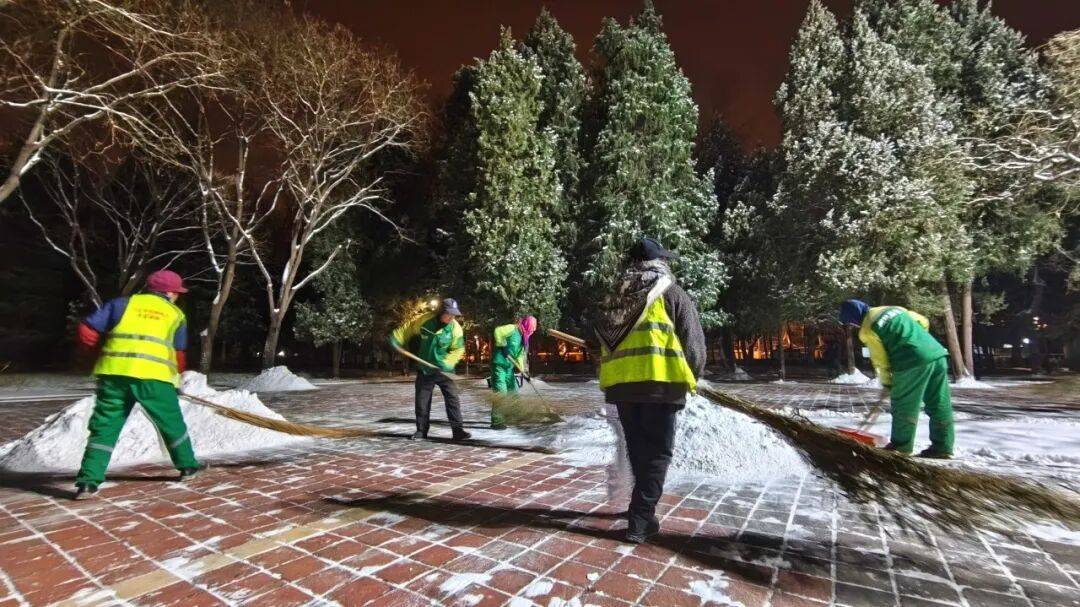 北京绿化带里用了二十年的板子<strong></p>
<p>usdc</strong>,今冬“下岗”了——