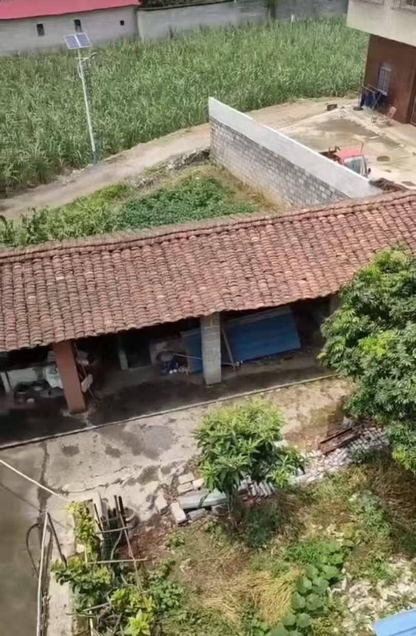 “男子改装射钉枪射杀邻居夫妇案”二审将于17日第二次开庭<strong></p>
<p>usdc</strong>,被告人一审被判死缓