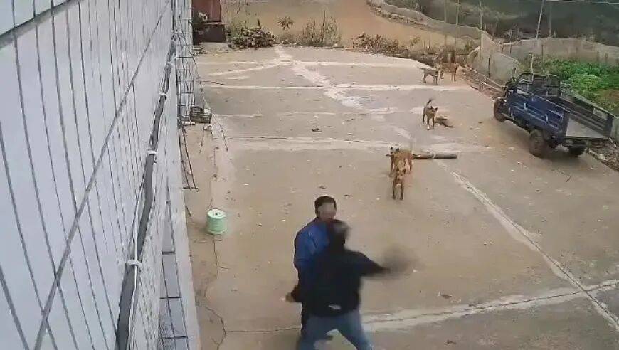 男子家门口吃橘子被邻居一拳打昏<strong></p>
<p>usdc币</strong>，警方通报：因养狗问题起冲突，均有受伤