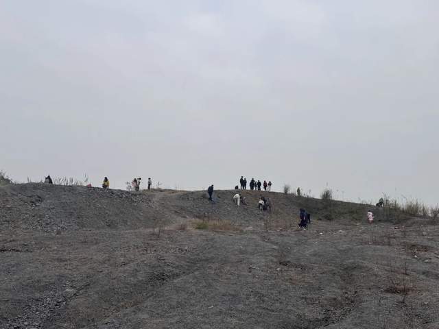 重庆多人携工具到一空地挖“化石”<strong></p>
<p>usdc币</strong>,记者目睹市民现场挖出小贝壳,官方:正在核实