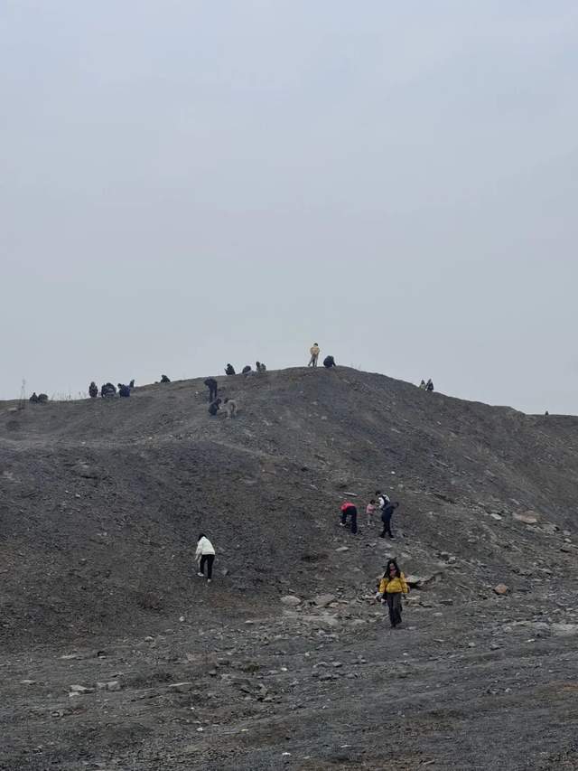 重庆多人携工具到一空地挖“化石”<strong></p>
<p>usdc币</strong>,记者目睹市民现场挖出小贝壳,官方:正在核实