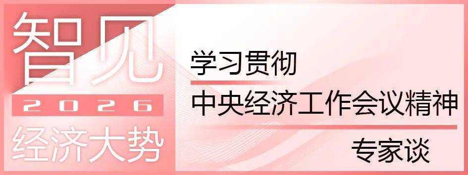 学习贯彻中央经济工作会议精神·专家谈①丨张占斌:“必须充分挖掘经济潜能”具有鲜明的时代性
