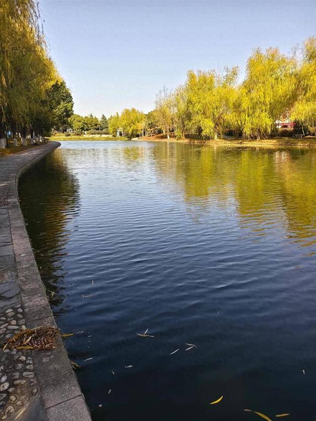 安徽工程大学一学生在校园内溺水身亡<strong></p>
<p>web3</strong>，疑参加游戏时不慎坠湖，学校回应