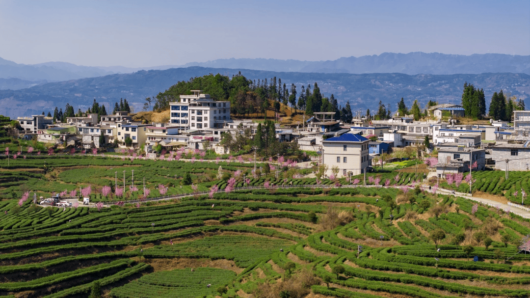 以“新”促“兴” 六盘水市茶叶协会正式成立