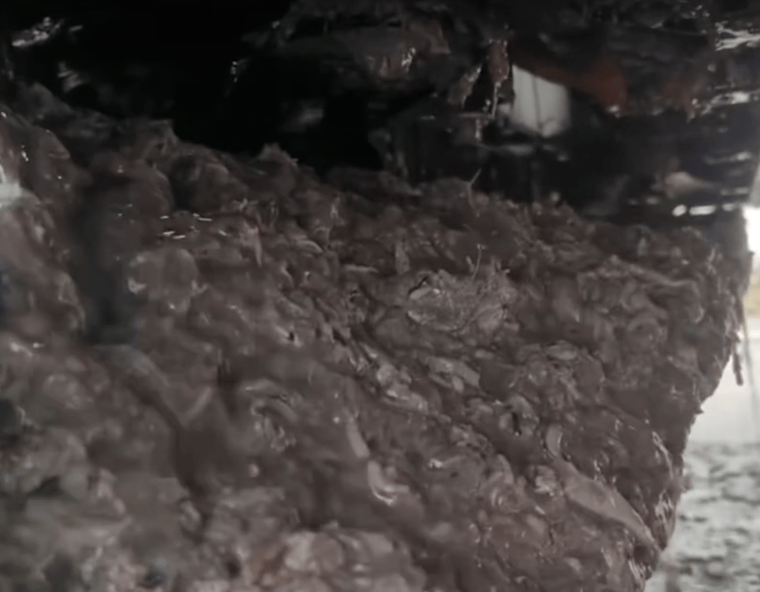 紫牛头条|40余车辆遭高速海鲜废料“臭袭”<strong></p>
<p>xlm币</strong>,交警称“非交通事故”,车主维权陷两难