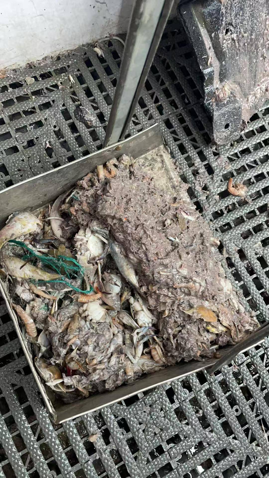 紫牛头条|40余车辆遭高速海鲜废料“臭袭”<strong></p>
<p>xlm币</strong>,交警称“非交通事故”,车主维权陷两难