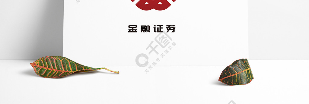 证券与保险(证券与保险税务会计)