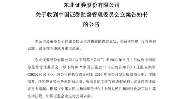 证券处罚(变相公开发行证券处罚)