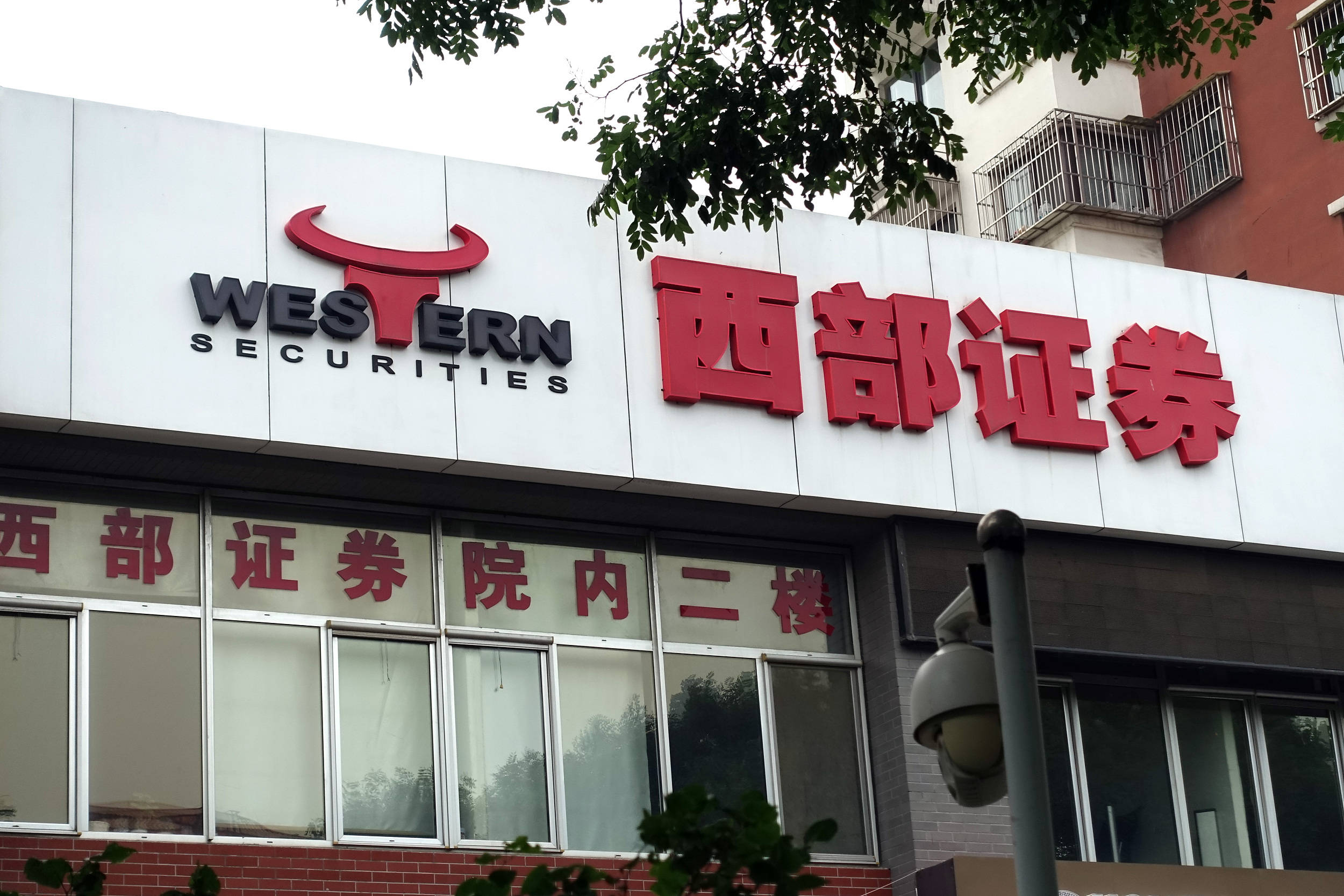西部证券下载(西部证券交易app)